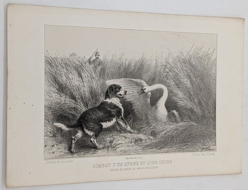 Gravure chasse combat - chasse, :