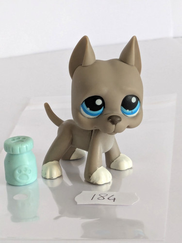 Petshop chien dog - petshop, 184