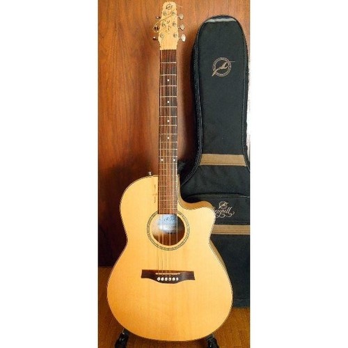 Electric acoustic guitar - acoustic,