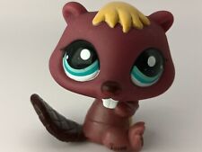 petshop authentic LPS Castor Beaver Purple rare #810 Bis original