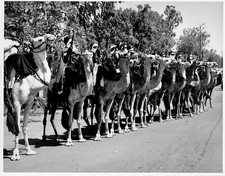 AFRIQUE NIGER  NIAMEY Revue de