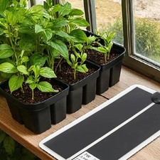 Kit botanique lampe horticole