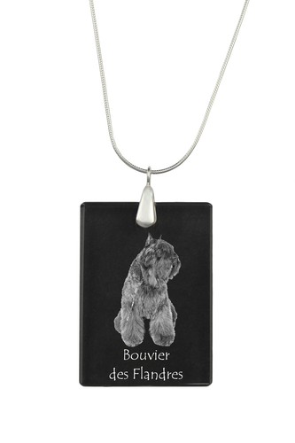 Bouvier des flandres collier - bouvier,
