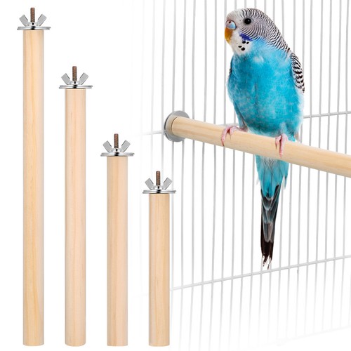Pcs râtelier oiseaux - À,
