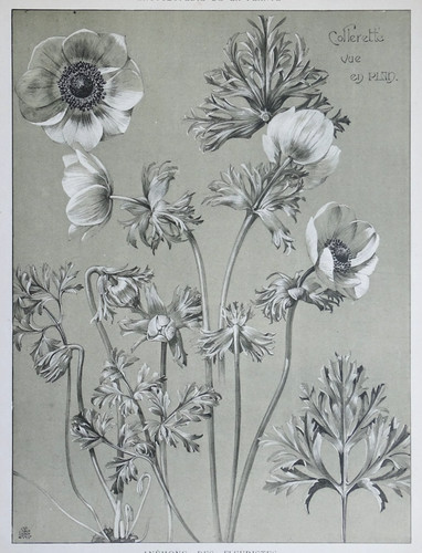 Mathurin meheut lithographie - meheut,