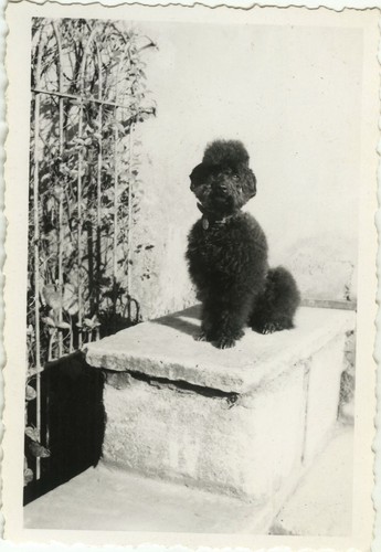 Photo ancienne vintage - -,