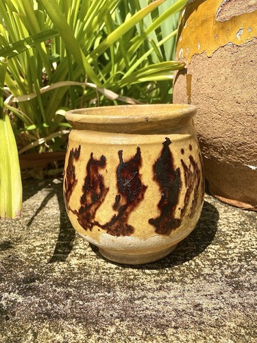 Ancien pot confit terre - a,