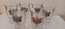 🎉 Lot de 6 Verres Shooter