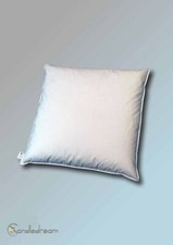 Coussin 80 X 80 Cm 70% Plumes 30% Duvet Coussin En Blanc 2.000 G