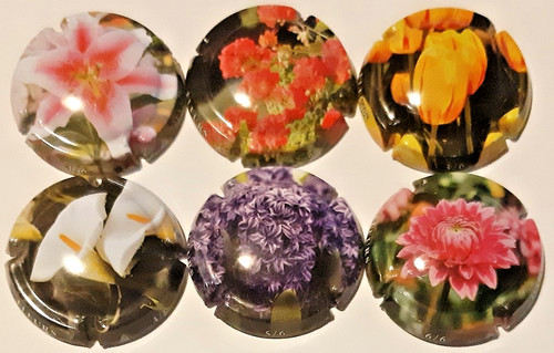 Lot capsules de champagne - 6,