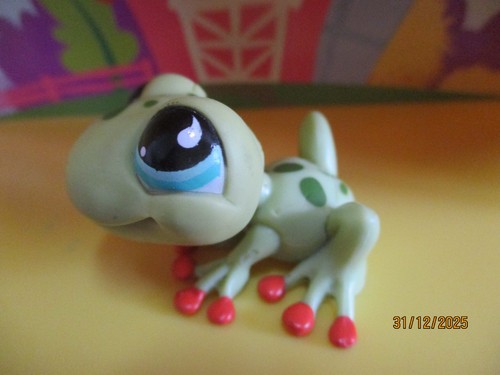 Petshop grenouille 805 - grenouille, #805