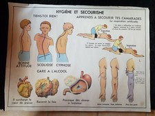 Ancienne affiche scolaire Rossignol  HYGIÈNE ET SECOURISME/ L'EXCRÉTION AN 50/60