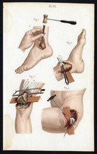 Cabinet curiosité planche
