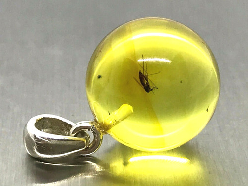 Pendentif ambre cadeau - pendentif, insect