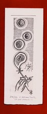ET23-LITHOGRAPHIE-CARTE DE