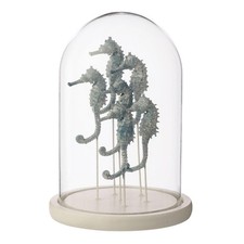 Cloche Déco en Verre