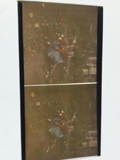  VUES STEREOSCOPIQUES AUTOCHROME PERSONNE CUEILLANT DES FLEURS 7 PAR 13