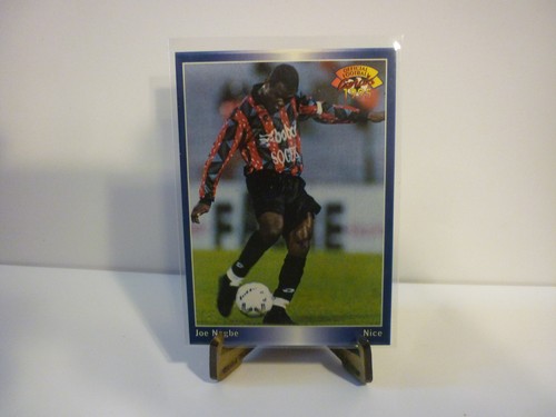 Carte foot panini official - carte,