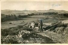 Ardèche Plateau Cévenol Le