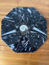 Marbre de Somno, marqueterie de fossiles, 40-43cm