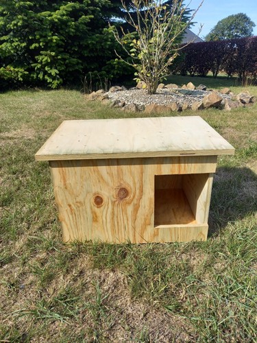 Niche chat petit - chat,