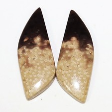 Cabochon Pierre Bois