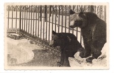 lyon , le parc tête d'or 