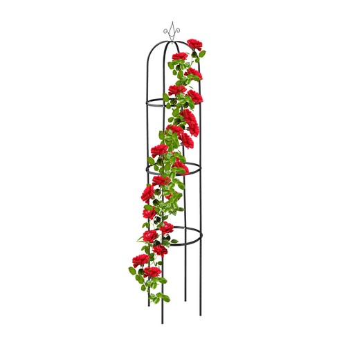 Support plantes grimpantes