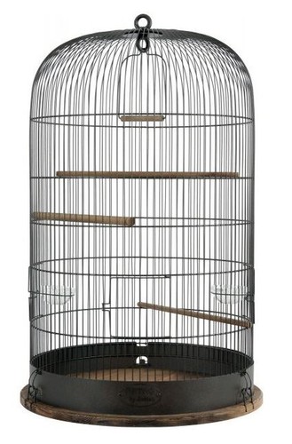 3336021048613 bird cage zolux - bird,