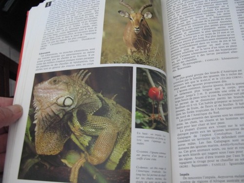 Nouvelle encyclopedie des - nouvelle,