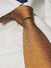 Sac Louis Vuitton couleur