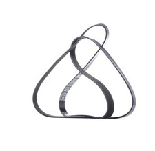 DAYCO Courroie Poly-V Courroie