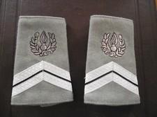 PAIRE EPAULETTE ARMEE
