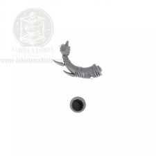 The Old World - Ungors Hommes