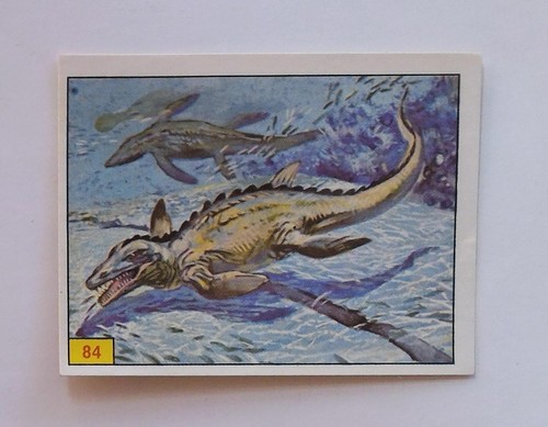 Panini animaux - panini, **