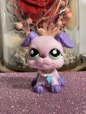 🌸Petshop CHIEN  Boxer