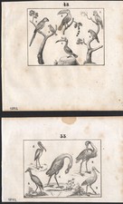 1832 Deux gravures originales