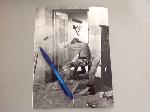 Thierry fronde photo - ,