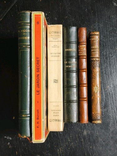 Lot livres anciens sujets - lot,