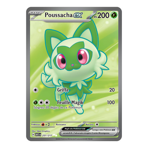 Poussacha 251 217 - ex, 🇫🇷