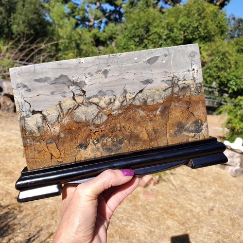 Picture jasper dendritic - picture,