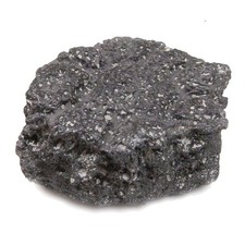 Fragment de carapace de