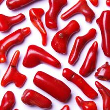 ★☆ CORAIL ROUGE de Chine - Pierres roulées vendues à l'unité - 1,5 à 2,5 cm ☆★