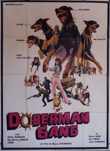 Doberman gang affiche 1972 - gang",