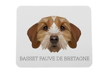 Basset Fauve de Bretagne