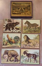 Exceptionnel Coffret 6 Puzzles