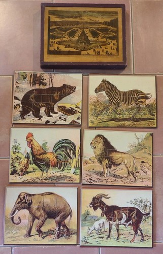 Exceptionnel coffret puzzles - exceptionnel,