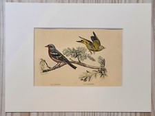 1852 Lithographie Art Print