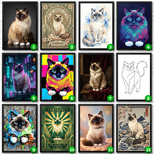 Poster affiche chat sacre - poster, de