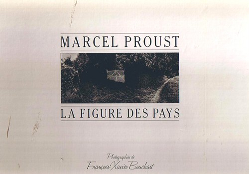Marcel proust figure des - proust,